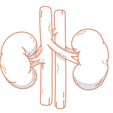Iran Kidney Center
