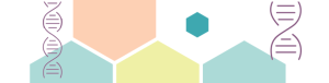 Genetic Counselors in Kidney Transplantation