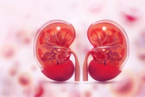 Genetic Testing for Kidney Transplant Rejection