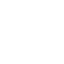 kidney