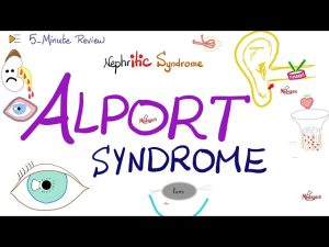 What is Alport Syndrome?