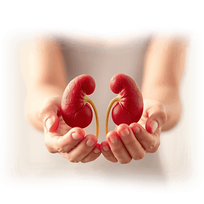 Kidney Transplant