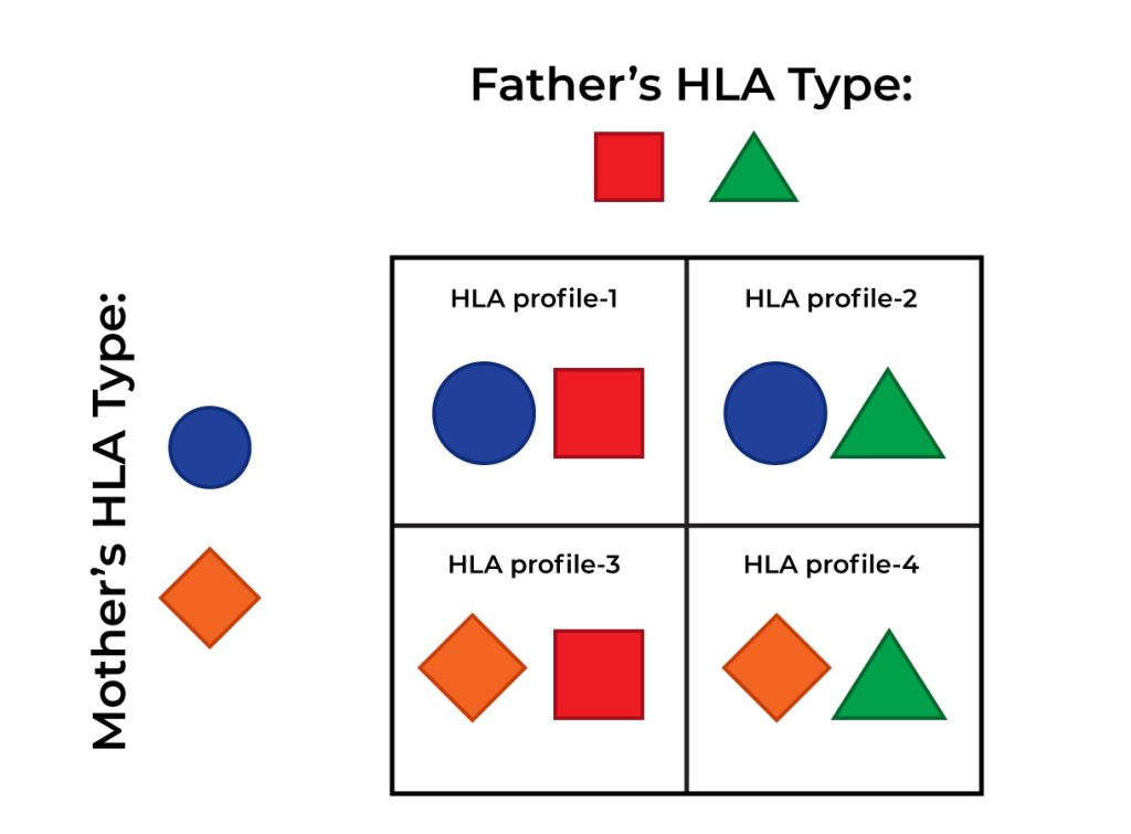 Kidney Transplant in Children and Blood Type Matching